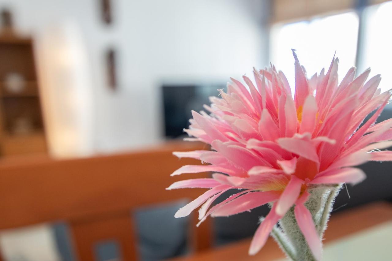 Apartamento Tribalia カディス エクステリア 写真